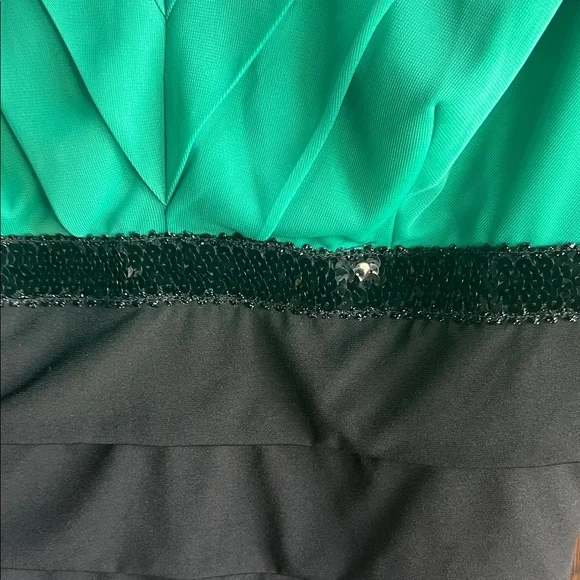 Enfocus Studio Green and Black Midi Dress - Picture 3 of 9